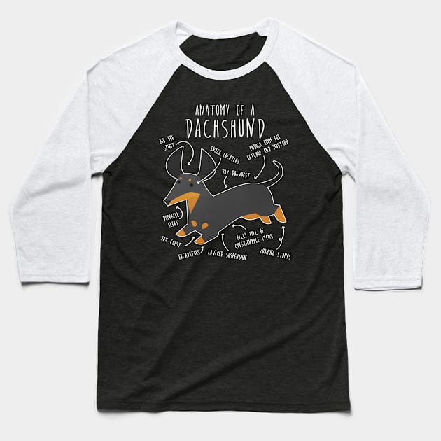 Black and Tan Dachshund Dog Anatomy Baseball T-Shirt by Psitta